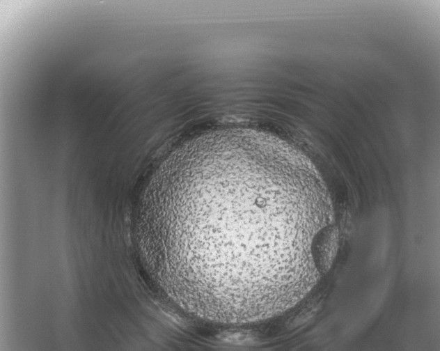 X0000066940557200604142026