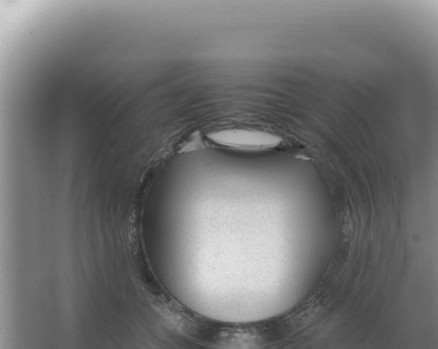 X0000066940559200604142026