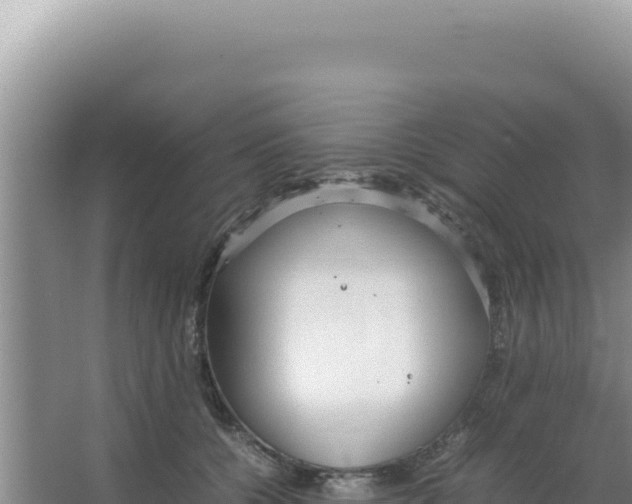 X0000066940560200604142026