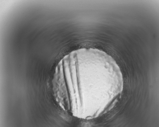 X0000066940561200604142026