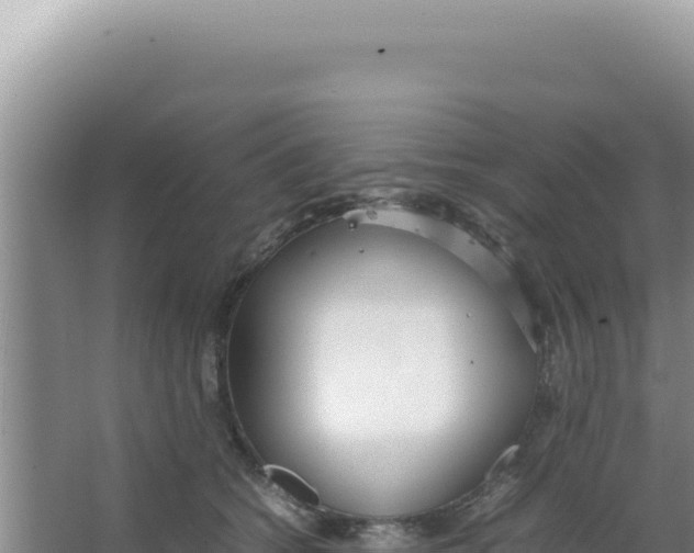 X0000066940562200604142026