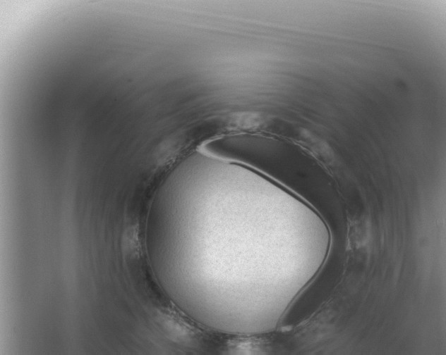 X0000066940564200604142026