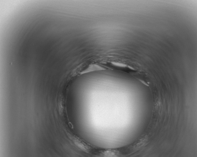 X0000066940566200604142026