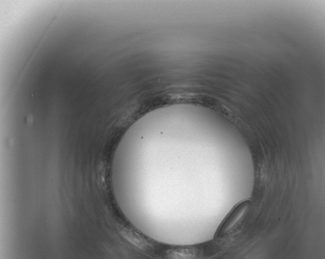 X0000066940567200604142026