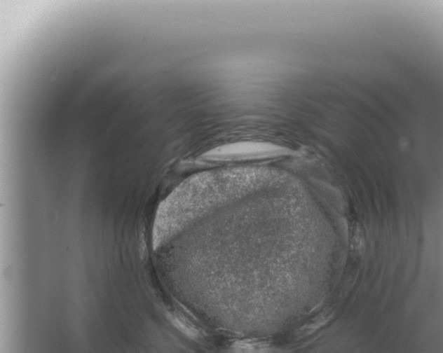 X0000066940568200604142026