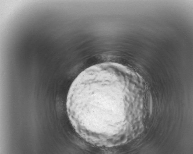 X0000066940569200604142026