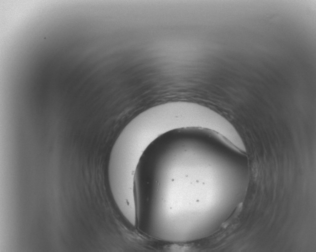 X0000066940570200604142026