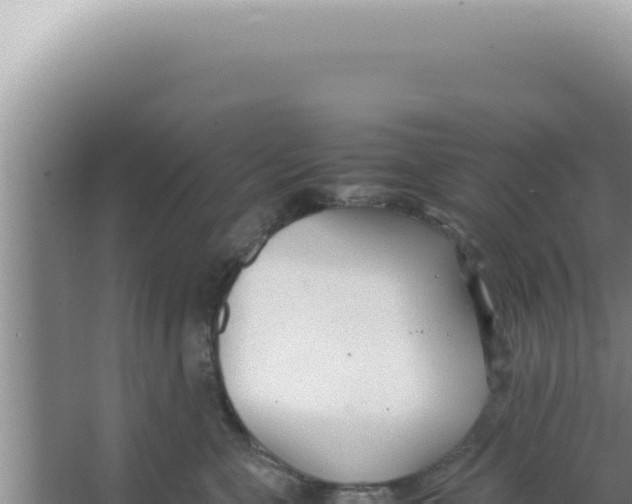 X0000066940571200604142026