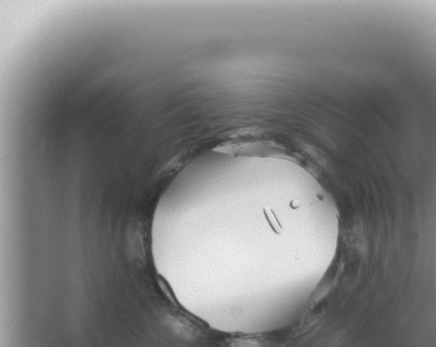 X0000066940572200604142027