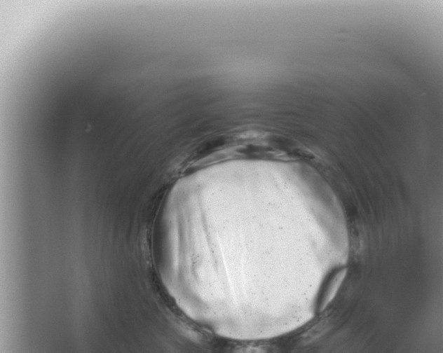 X0000066940573200604142027