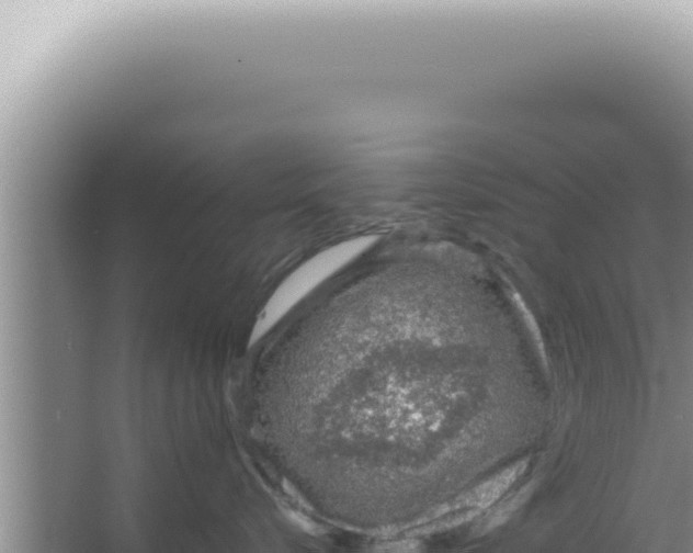 X0000066940576200604142027