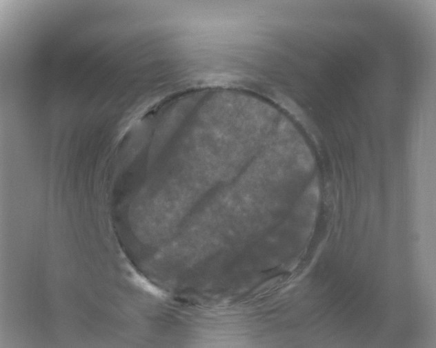 X0000066940577200604142026