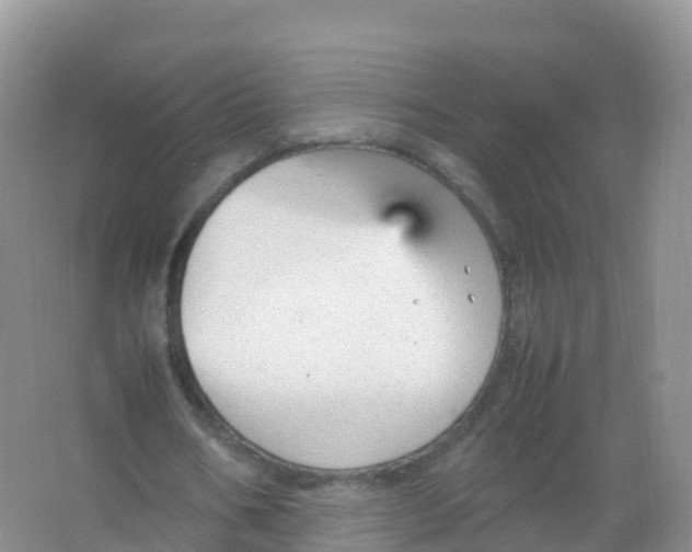 X0000066940578200604142026