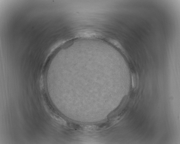 X0000066940579200604142026