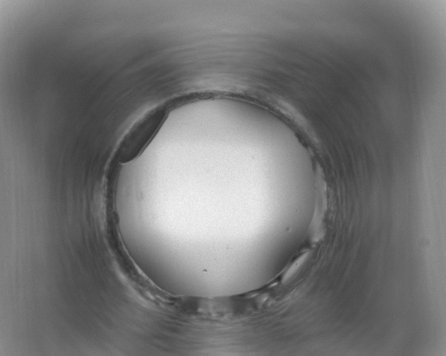 X0000066940580200604142026