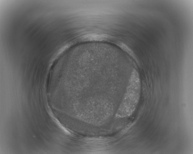 X0000066940581200604142026