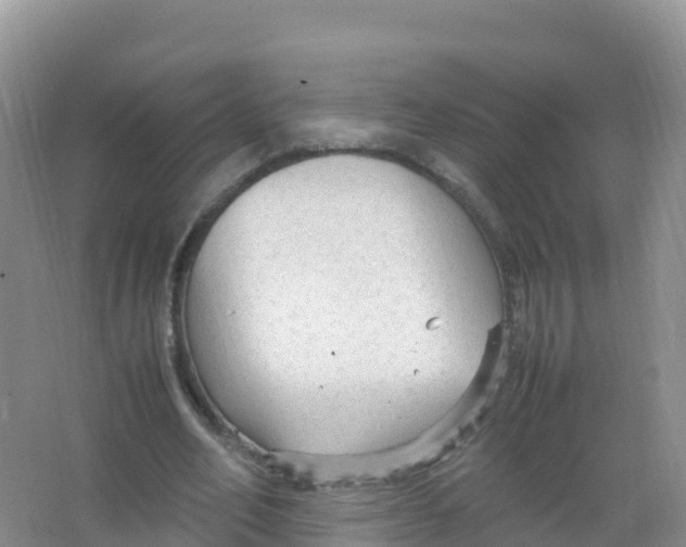 X0000066940582200604142026