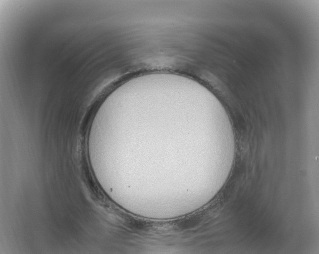 X0000066940583200604142026