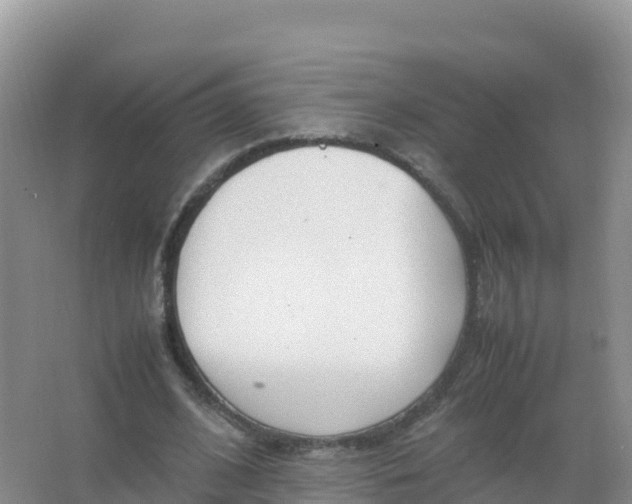 X0000066940584200604142026