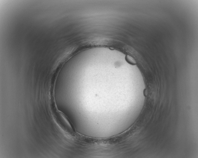 X0000066940586200604142026