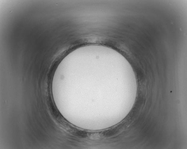 X0000066940587200604142026