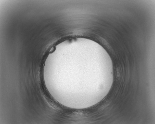 X0000066940588200604142026