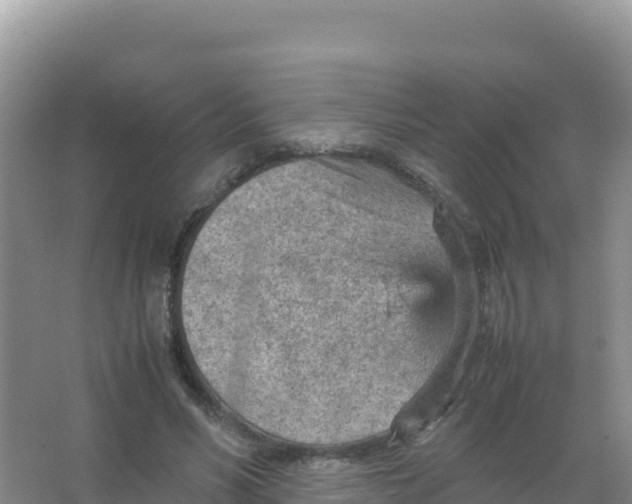 X0000066940590200604142026