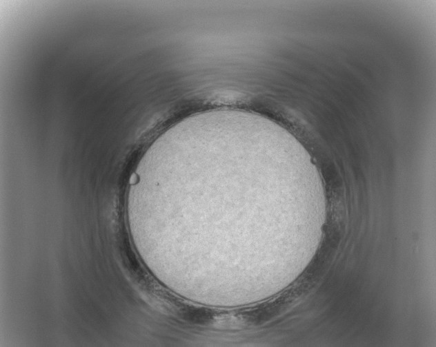 X0000066940591200604142026