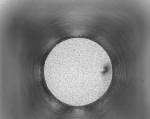 X0000066940592200604142026