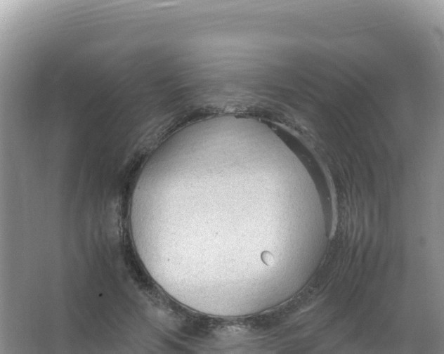 X0000066940594200604142025