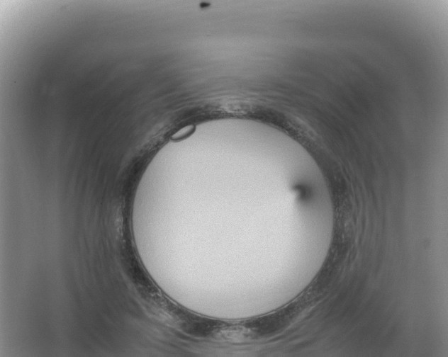 X0000066940595200604142025