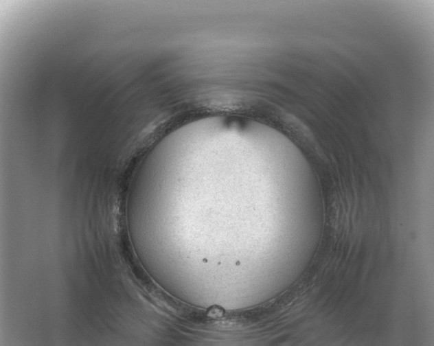 X0000066940596200604142025