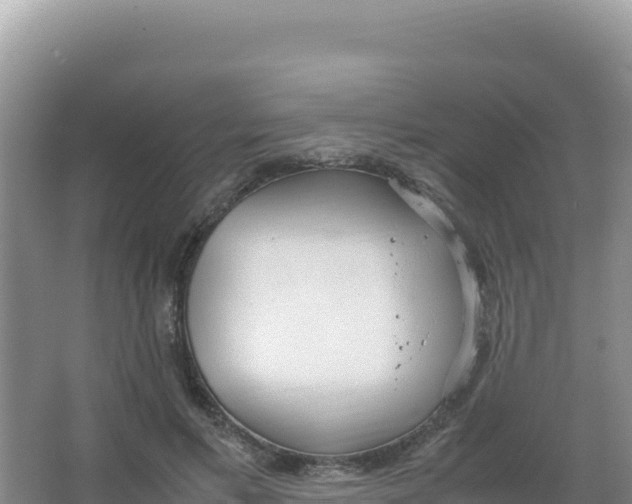 X0000066940597200604142025