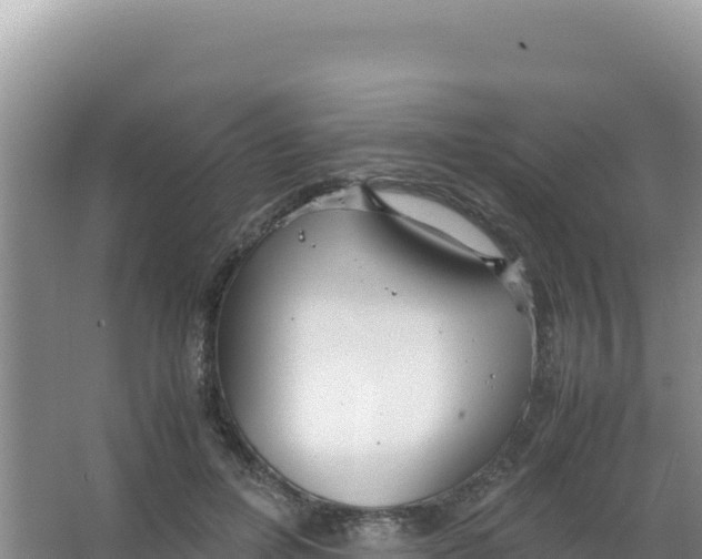 X0000066940600200604142025