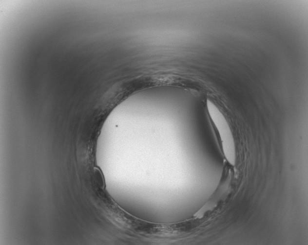 X0000066940601200604142025