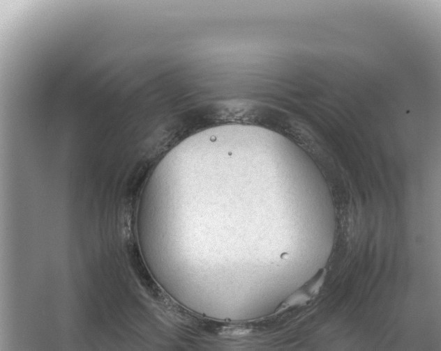 X0000066940602200604142025