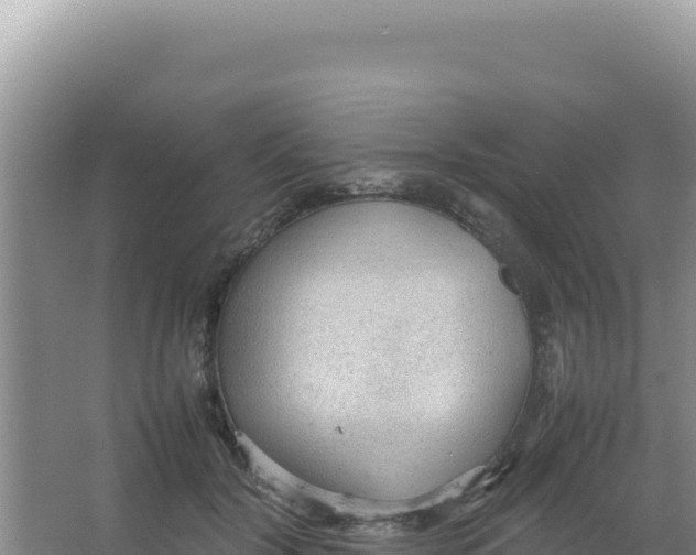 X0000066940604200604142025