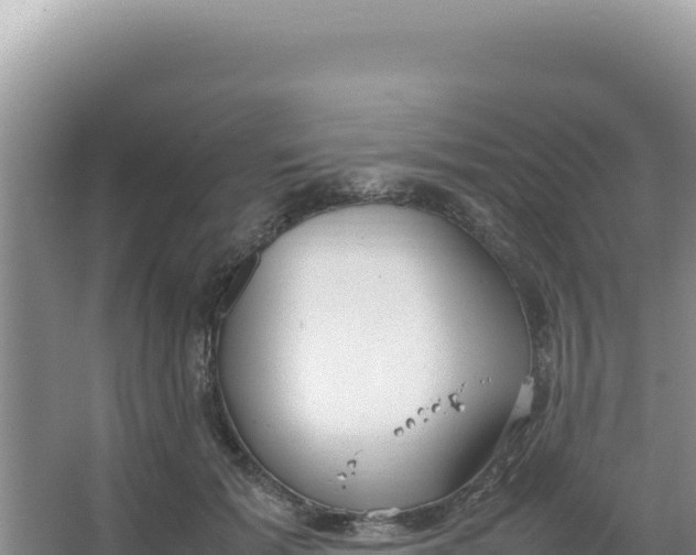 X0000066940605200604142025