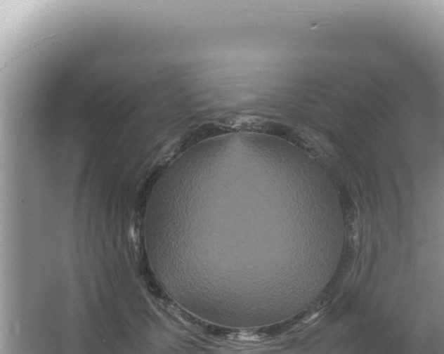 X0000066940607200604142025