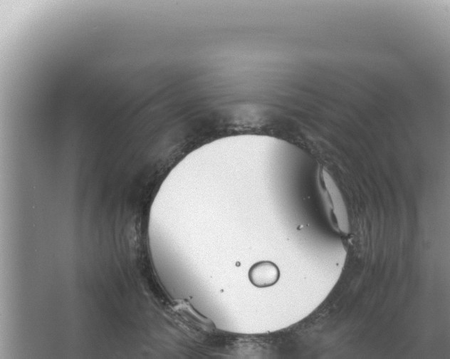 X0000066940608200604142025