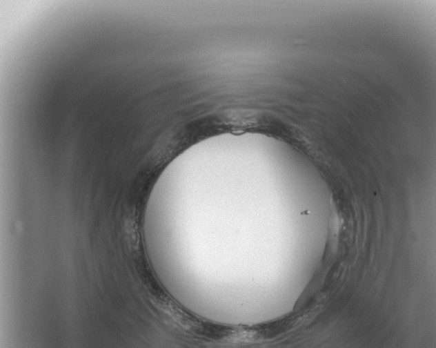 X0000066940609200604142025