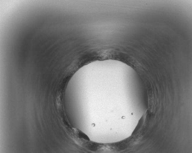 X0000066940611200604142025