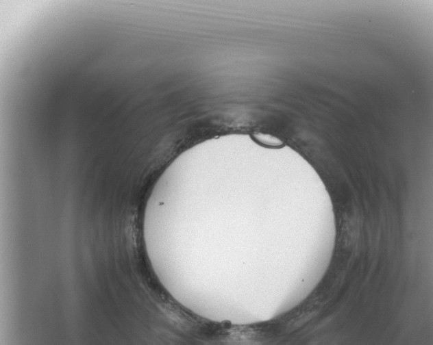 X0000066940612200604142025