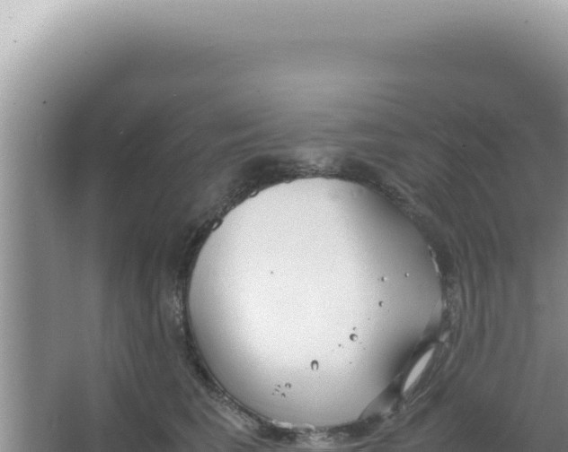 X0000066940613200604142025