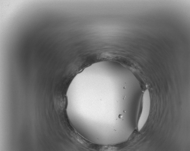 X0000066940617200604142025