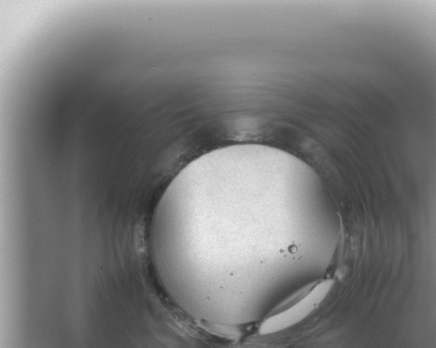 X0000066940620200604142025