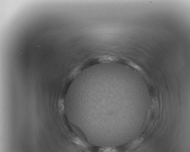 X0000066940621200604142025