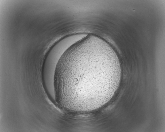 X0000066940625200604142024