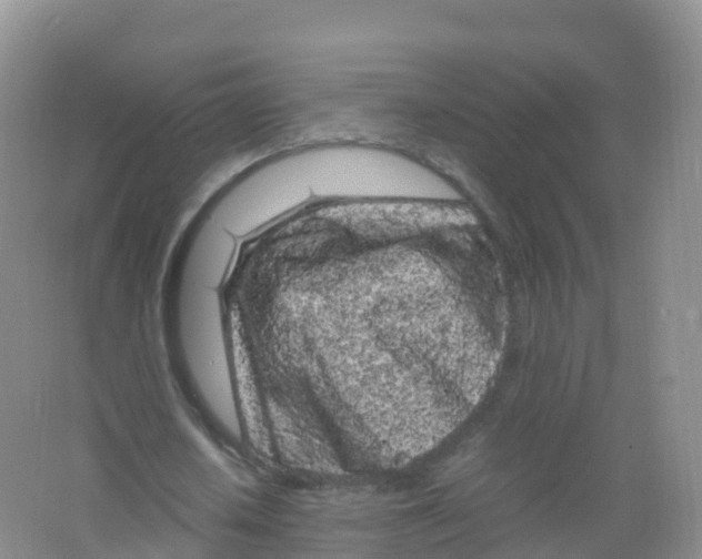 X0000066940626200604142024