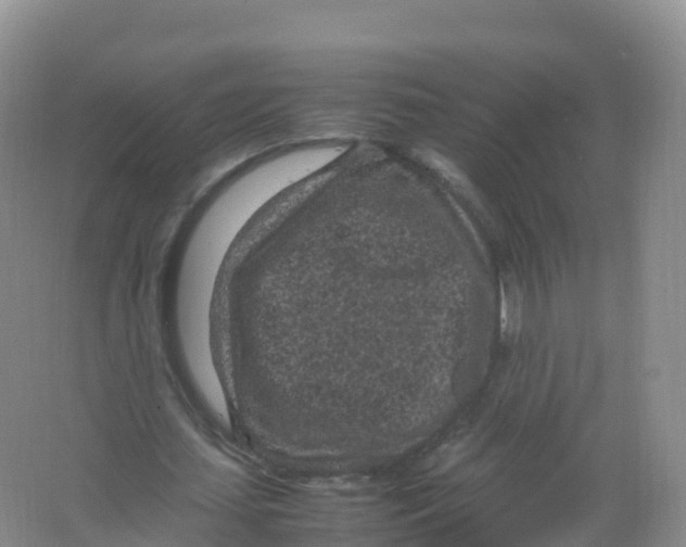 X0000066940627200604142024